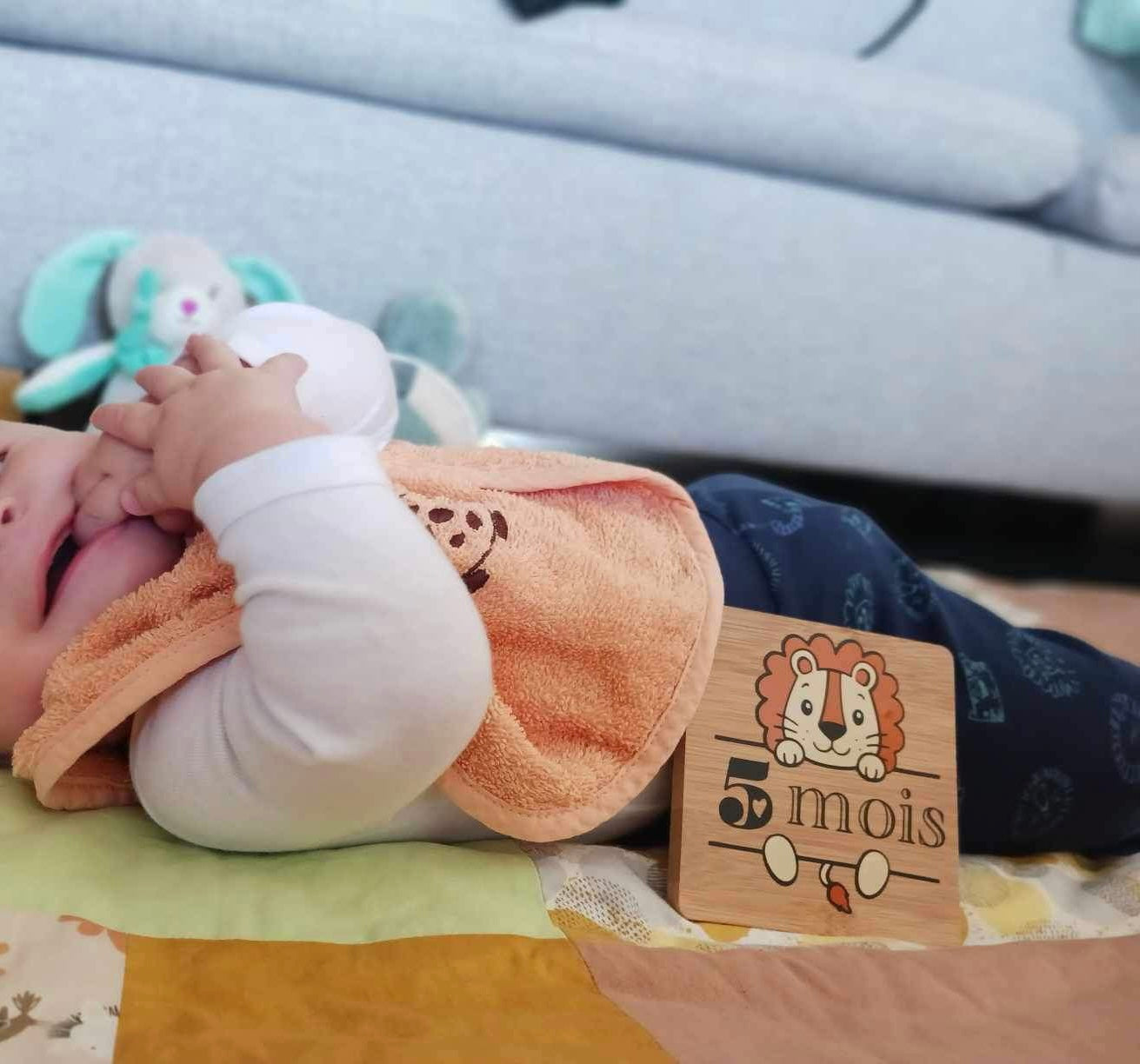 Cartes étapes bébé thème jungle en bois pour photo souvenir